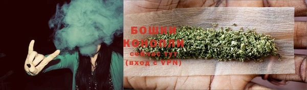 стаф Бронницы
