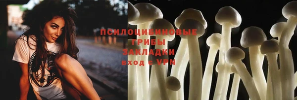 spice Бугульма