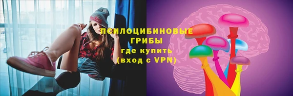 spice Бугульма