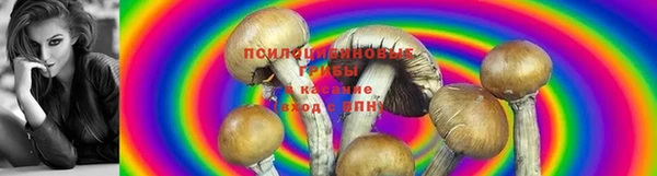 тгк Бородино