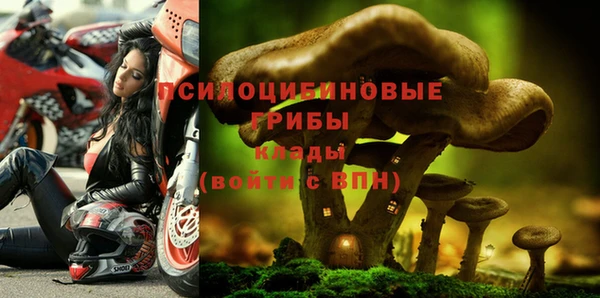 стаф Бронницы
