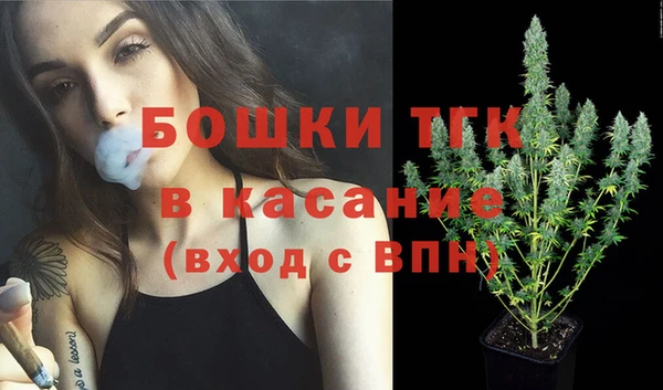 тгк Бородино