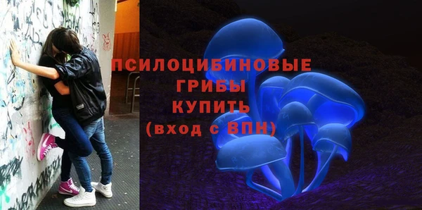 стаф Бронницы
