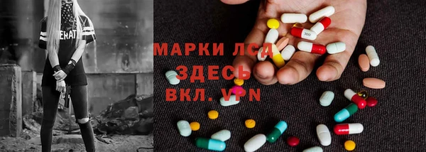 прущие грибы Протвино