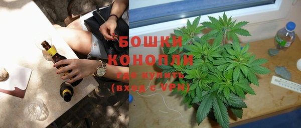 стаф Бронницы
