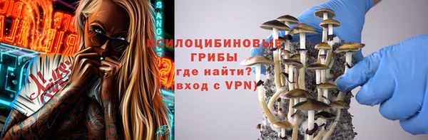 spice Бугульма