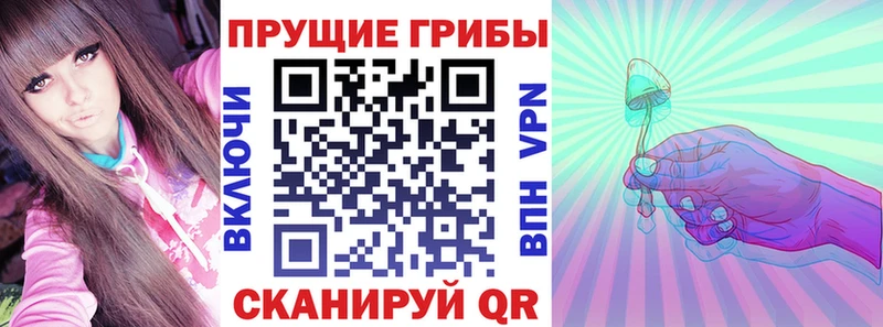 OMG как войти  Балаково  Псилоцибиновые грибы Psilocybine cubensis 